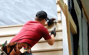 Best Custom Trim and Detailing for Siding  in Chlicothe, IL